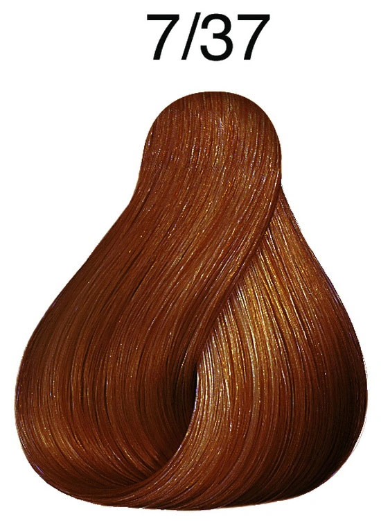 Fő kép